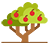 Fruit Trees
