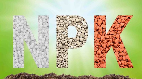 NPK Fertilizer