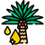 Oil Palm