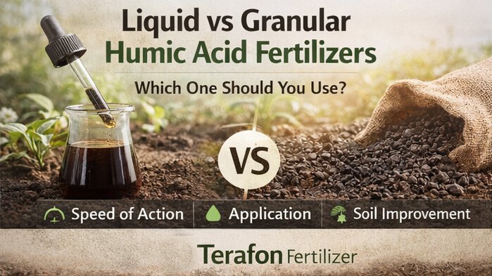 Liquid vs Granular Humic Acid Fertilizers
