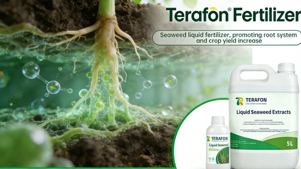 Best Practices for Liquid Seaweed Fertilizer Application