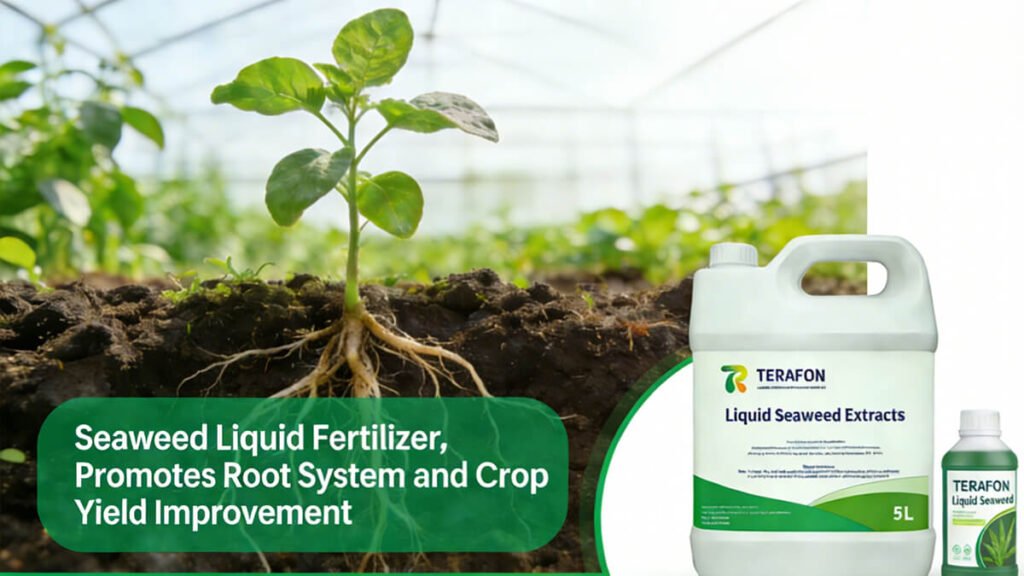 Effects on Crop Yield and Quality Improvement