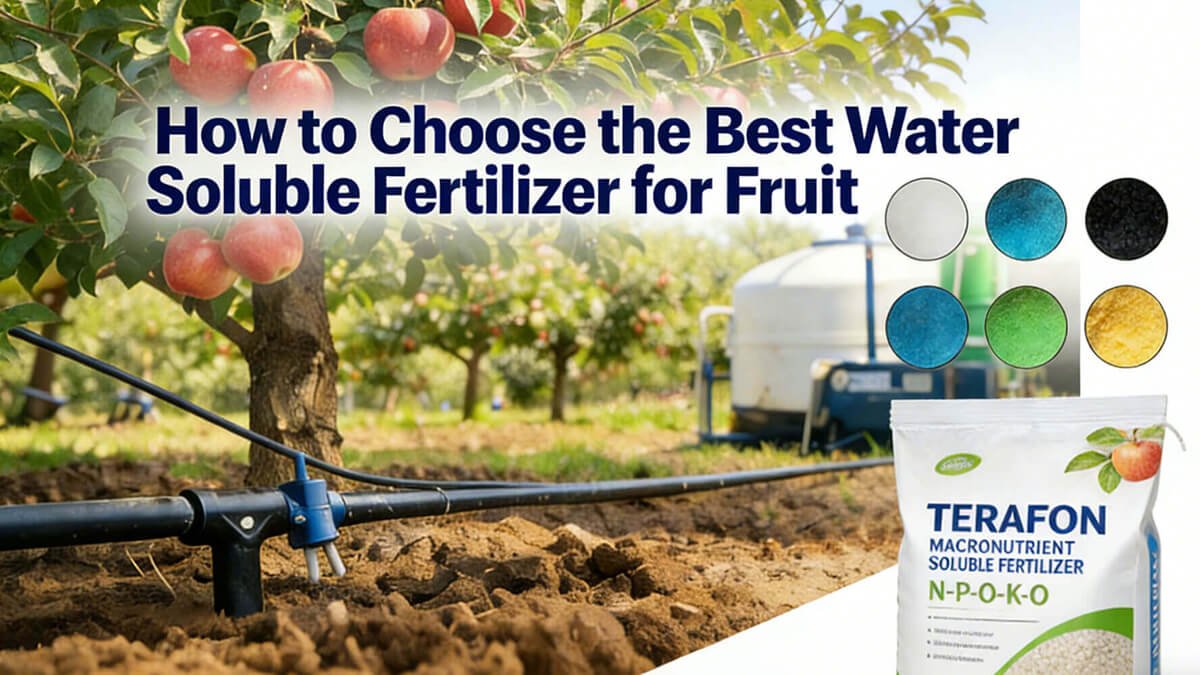 How to ChoosHow to Choose the Best Water Soluble Fertilizer for Fruit Treese the Best Water Soluble Fertilizer for Fruit Trees