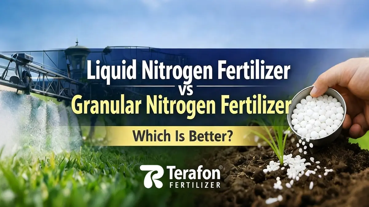Liquid vs Granular Nitrogen Fertilizer Which Is Best