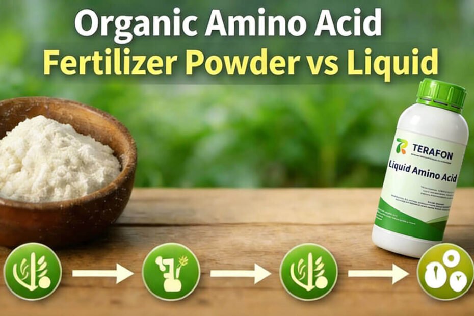 Organic Amino Acid Fertilizer Powder vs Liquid