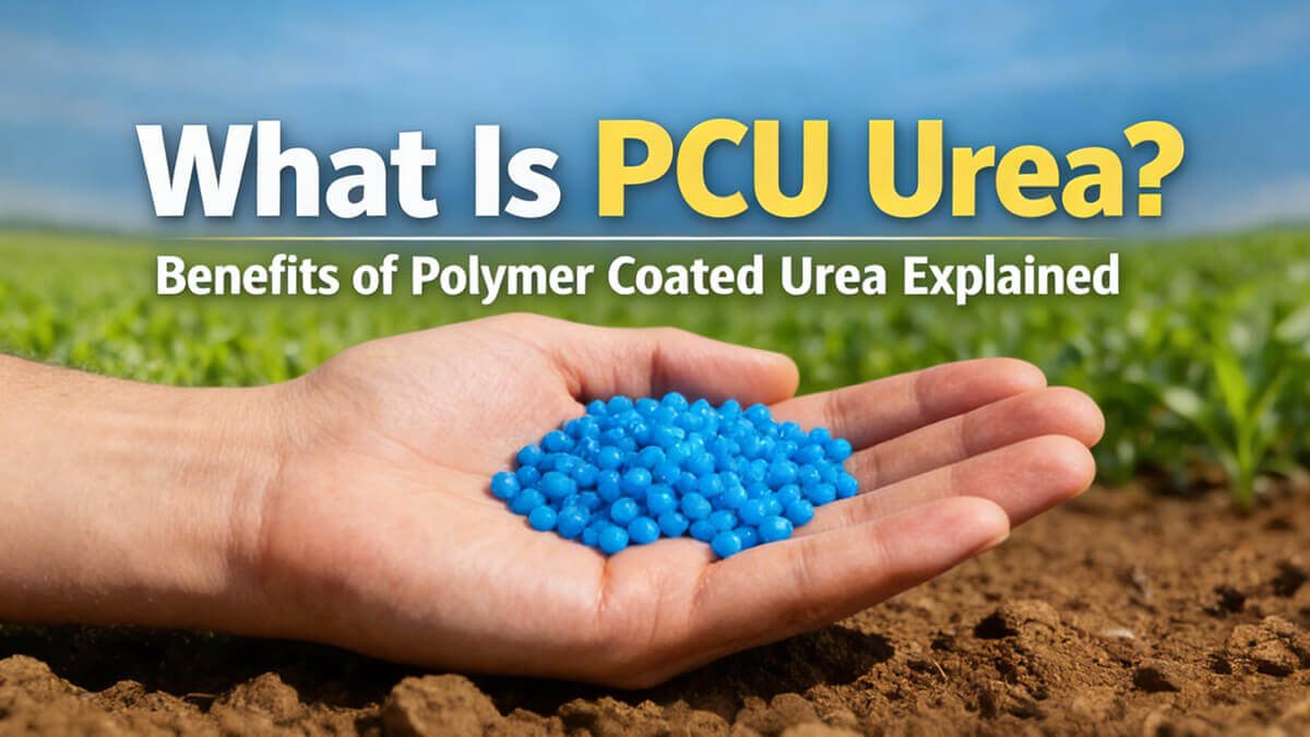 What Is PCU Urea