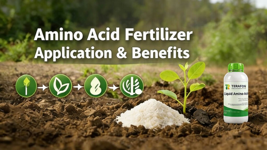 amino Acid Fertilizer Application & Benefits