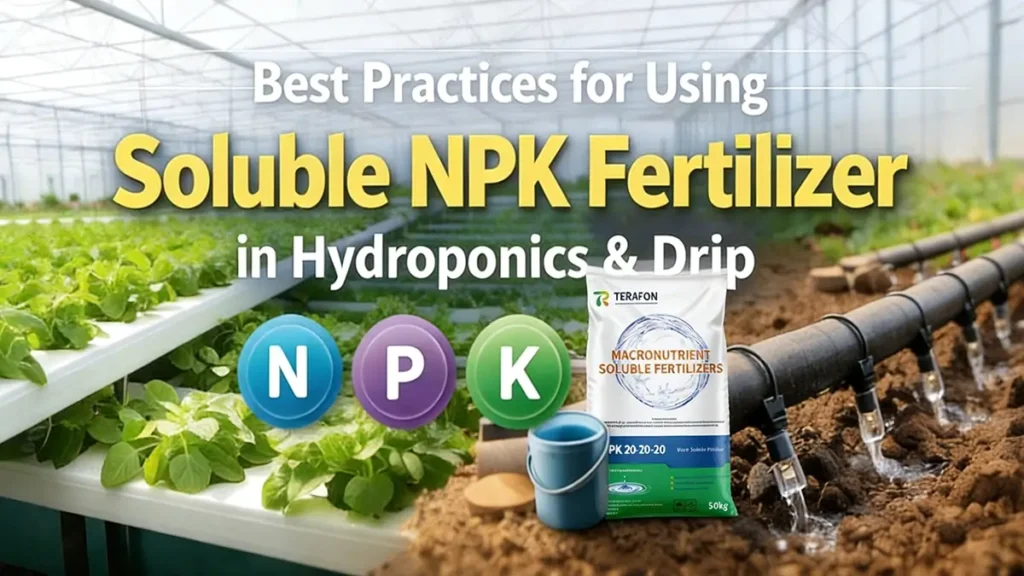 Best Practices for Using Soluble NPK Fertilizer in Hydroponics & Drip