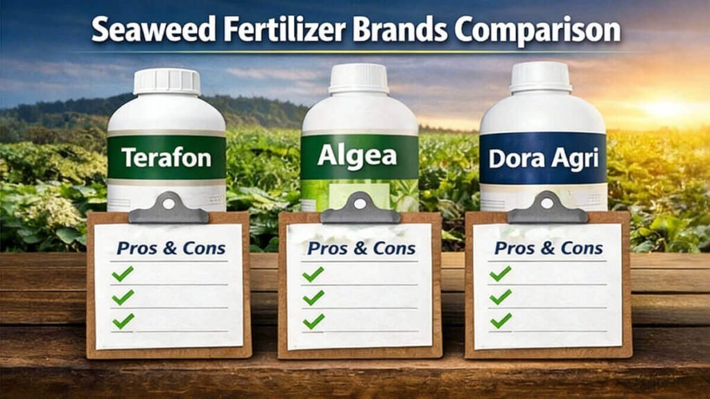 Seaweed Fertilizer brands Comparison