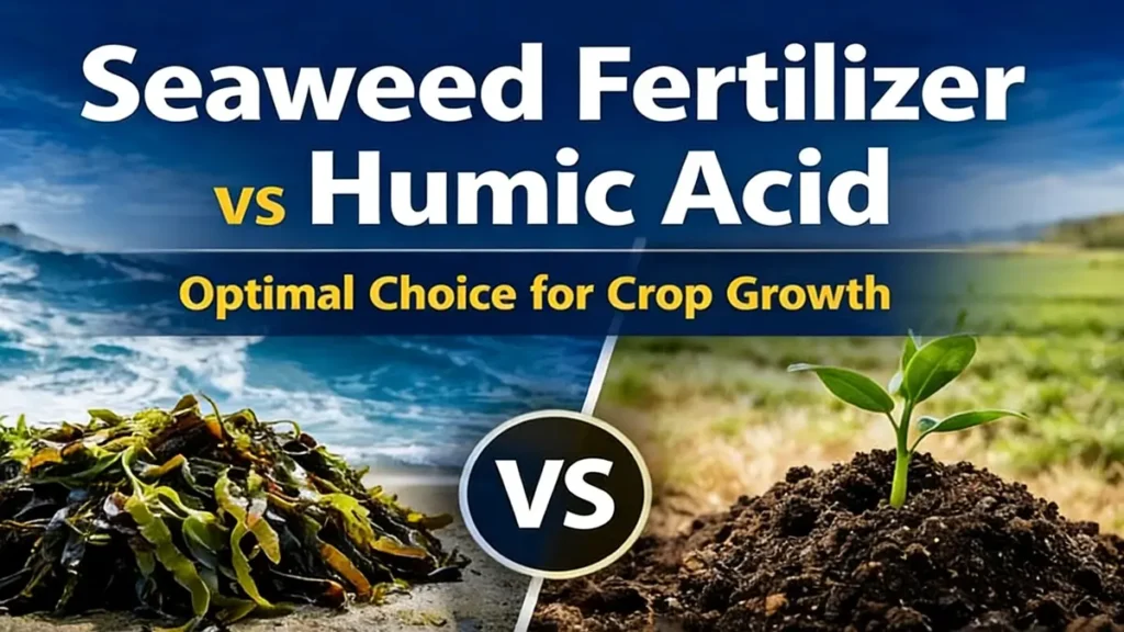 Seaweed Fertilizer vs Humic Acid