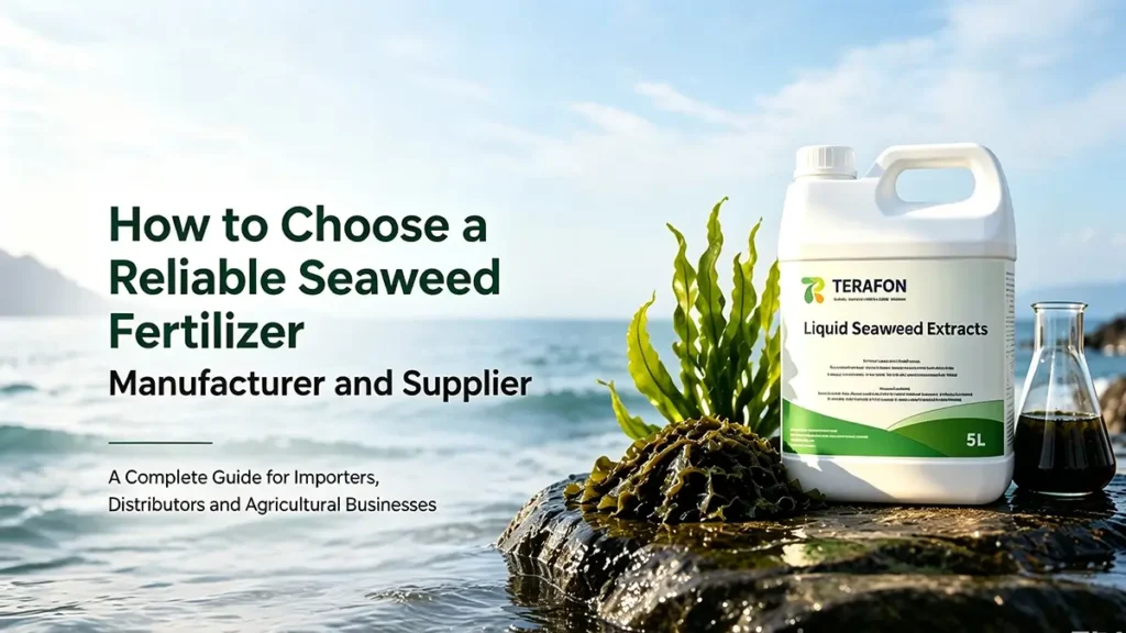 Reliable seaweed fertilizer manufacturer and supplier guide featuring seaweed extract fertilizer production and Terafon Fertilizer solutions.