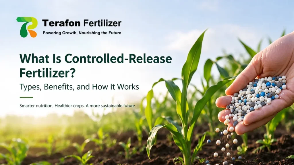 Controlled-release fertilizer types, benefits, and how it works in modern crop production